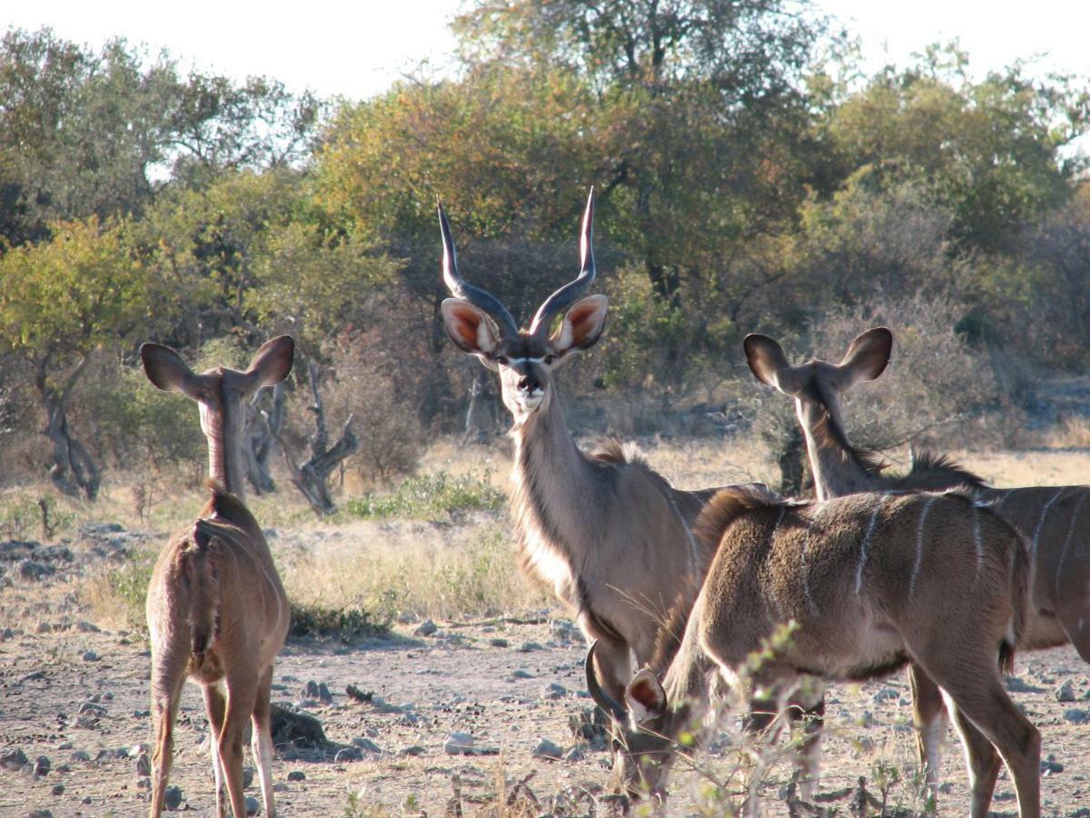 Kalkfontein Guestfarm Hotel Grootfontein Екстериор снимка